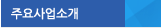 주요사업소개